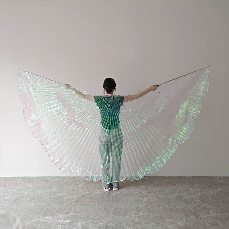Stunning LED Luminous Butterfly Dance Wings for Fluorescent Shows & Performances