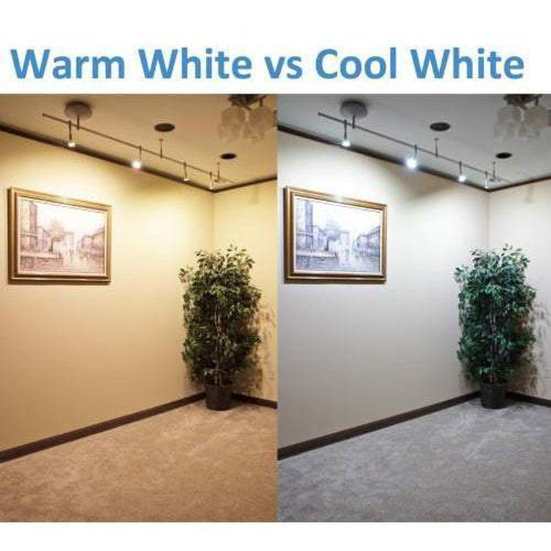 Commercial 24V LED strip 2835 warm white 120 LEDs per metre close-up view