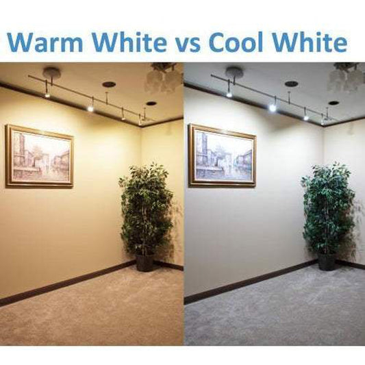 LED Strip 12V 2835 LED, 120led/m x 1m-Sparts NZ-2835,ledstrip,ledstripstock,strip