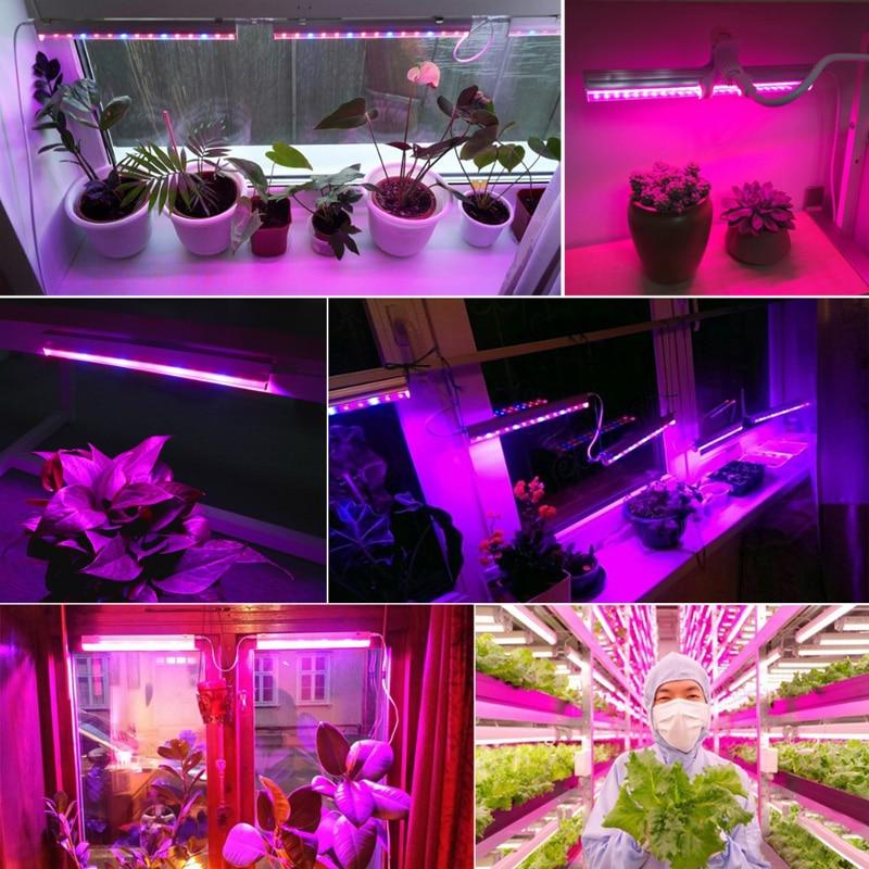 LED plant light strip with optimised red/blue spectrum