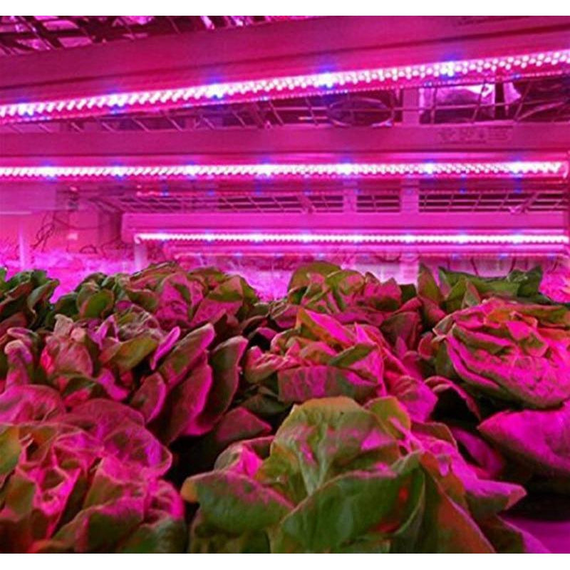 2 metre USB grow light strip for indoor gardening