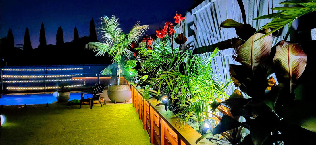 Tropical Back yard