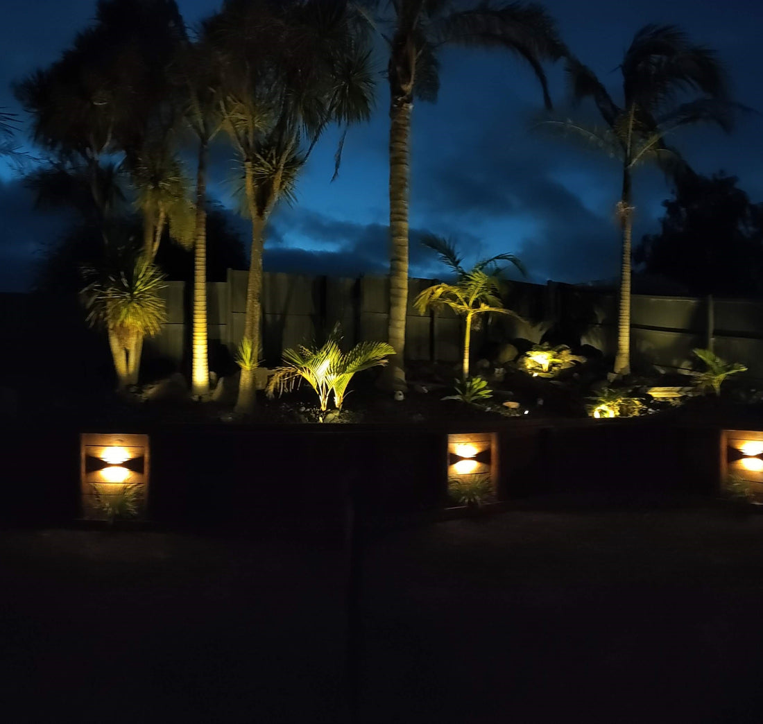 Tropical Paradise lighting