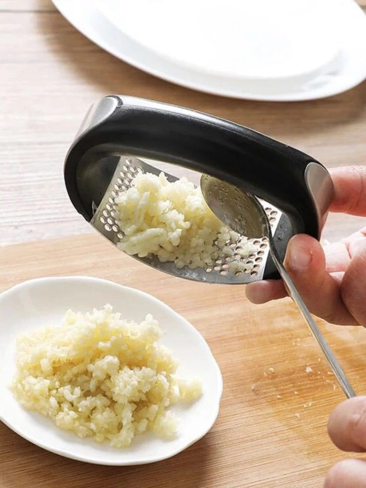 Stainless Steel Curve Garlic Press