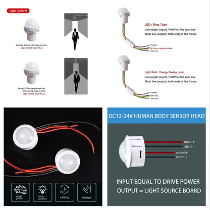 LED Sensitive Infrared Motion Sensor Switch - DC12v/24v & 110v/220v