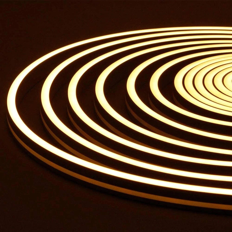 12V LED NEON Strip Light Waterproof IP67 2835 120Led/m 5m or 10m