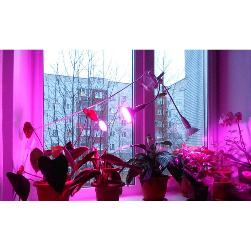 Led Grow Light Phytolamp Full Spectrum Plant Lamp