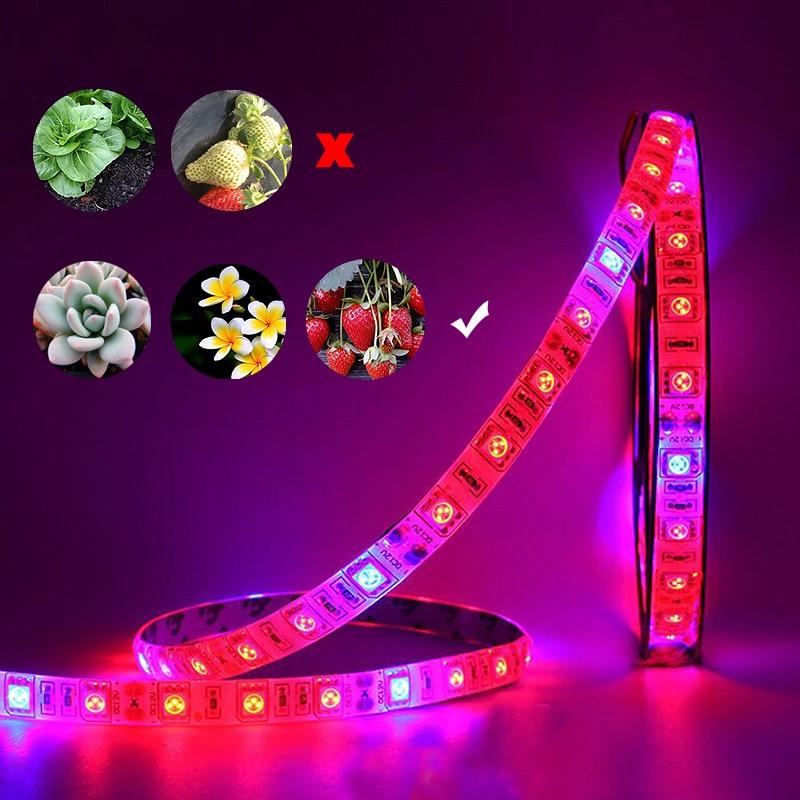 Plant Grow Full Spectrum LED light strip - 2m strip-Sparts NZ