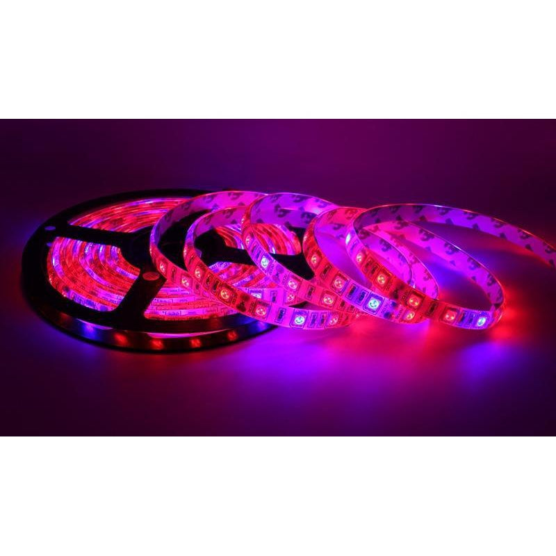 Plant Grow Full Spectrum LED light strip - 2m strip-Sparts NZ